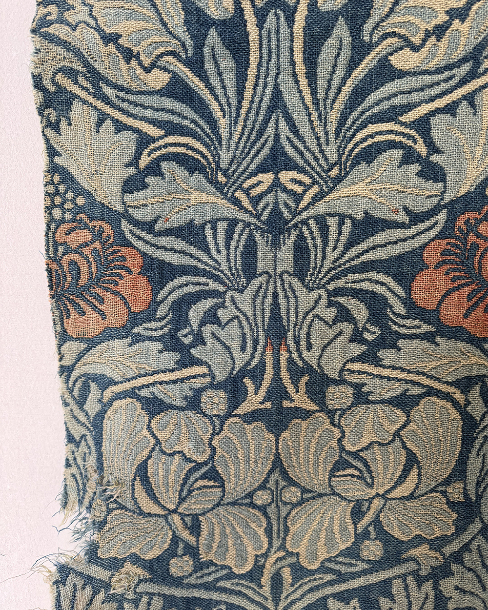 Morris <em>Tulip & Rose</em>