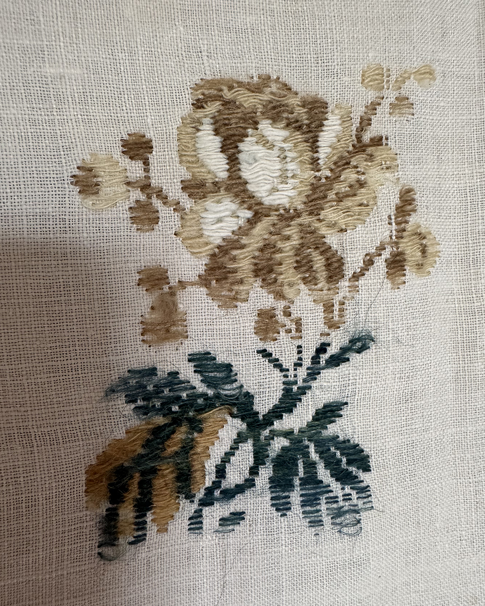 Cambrasine Wool