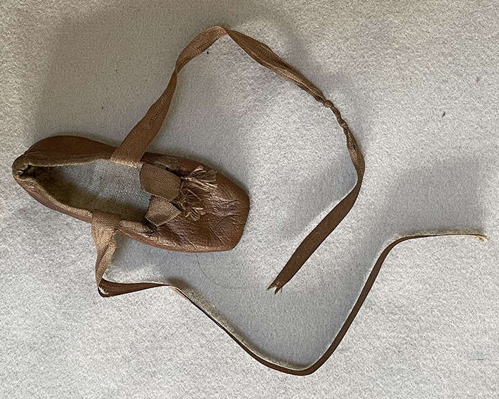 Sample Shoes
