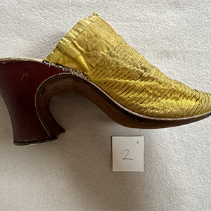 Rare Yellow Mules 
