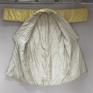 Indian Morning Gown or Banyan